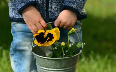 La Settimana dell&rsquo;Organizzazione: Bambini e famiglia (siamo piccoli, ma cresceremo)