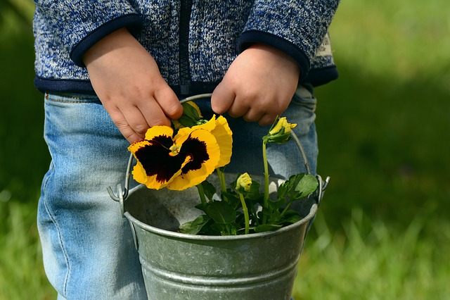 La Settimana dell&rsquo;Organizzazione: Bambini e famiglia (siamo piccoli, ma cresceremo)